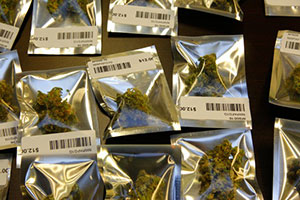 Bags of marijuana