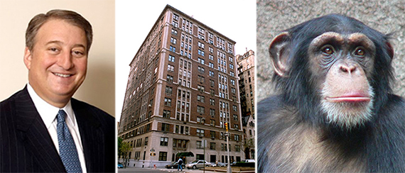 From left: Howard Milstein, 888 Park Avenue and a chimpanzee