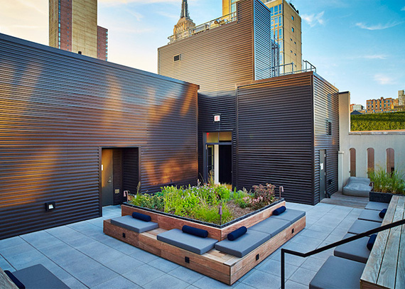 Piet Oudolf's rooftop garden at 404 Park Avenue South in NoMad