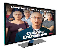 CURB-YOUR-ENTHUSIASM-TV