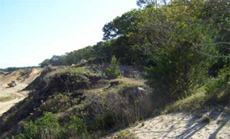 Part of the Bistrian family's land in Amagansett