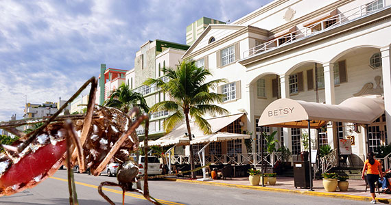 2009 shot of Ocean Drive in Miami Beach (Credit: chensiyuan) and a mosquito