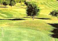 The former Palm View Golf Course