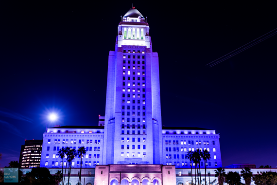 The City of Los Angeles paid tribute to Prince by lighting up City Hall in purple on the night of his passing.