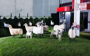 The Lalane sheep exhibit at the Getty (Credit: Shvo)
