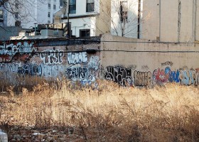 NYC vacant lot (credit: Ralph Hockens)