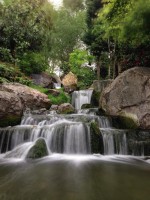 Kyoto Garden in London (credit: Alan B. via Foursquare)