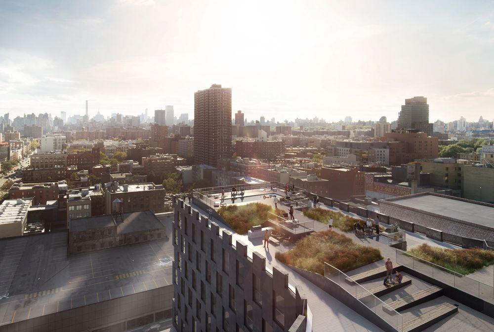 145 East 125th Street rooftop (credit: Blumenfeld Development Group)