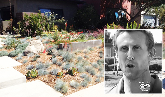 Ryan Nivakoff and drought-resistant shrubbery in L.A. (Credit: CBS2, Landscaping Network)