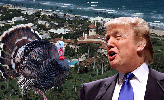 Mar-a-Lago (Credit: Steven D Starr / Getty Images), Donald Trump (Credit: Gage Skidmore) and a turkey