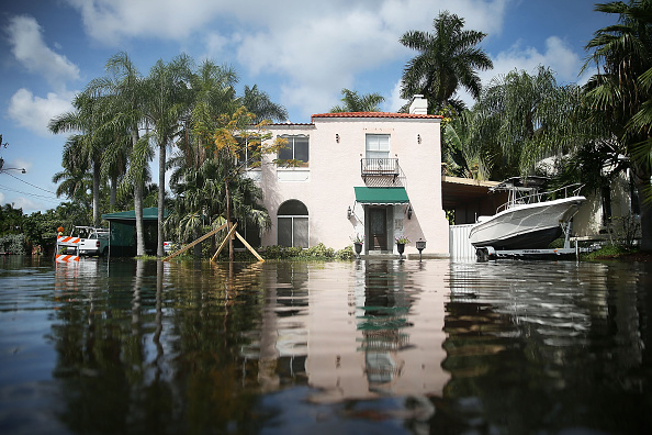 A flooded street in South Florida (Credit: Getty Images)