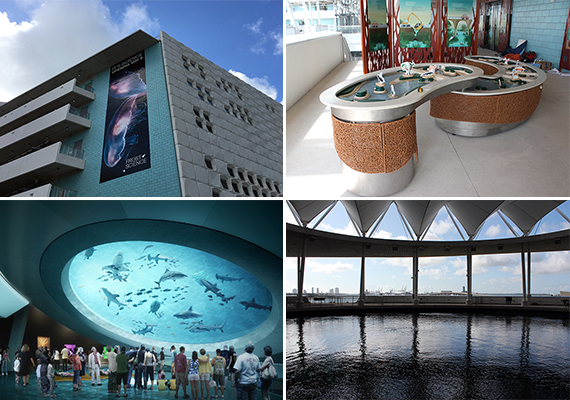 Clockwise from left: the museum's exterior, an outdoor children's exhibit, the top deck of the aquarium, and a rendering of the bottom of the aquarium