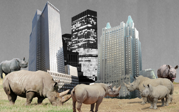 Chinese government efforts to curb gray rhinos could play a big role in Manhattan's trophy market (Photo illustration by Lexi Pilgrim for <em>The Real Deal</em>)