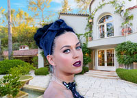 Katy Perry is dividing Runyon Canyon property in new listing