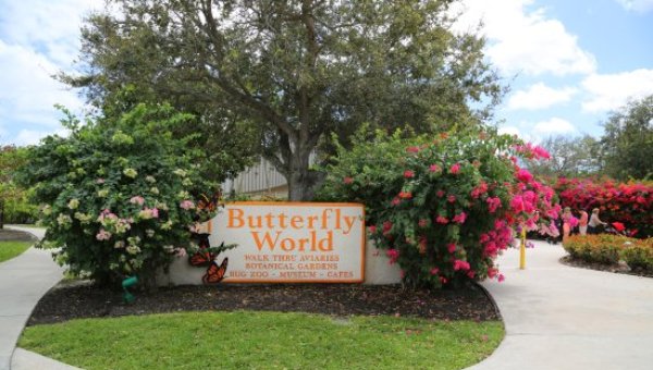 Butterfly World at Tradewinds Park in Coconut Creek