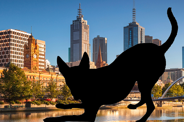 Melbourne. (Credit from back: Nicholaspetridis, Pixabay)