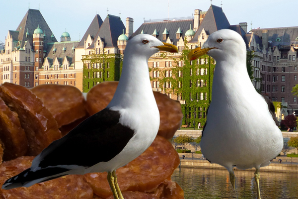 The Fairmont Empress in Victoria, Canada. Burchill was banned for life after an incident with spicy pepperoni and 40 sea gulls decimated his hotel room. (Credit from left: Andrew Malone, Bobak Ha'Eri, Jean Beaufort)