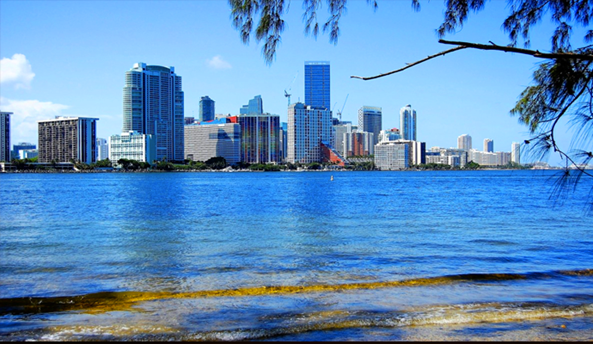 Miami skyline (Credit: PxHere)