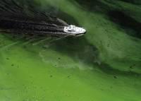 Recurring algae bloom in Lake Okeechobee may again send green slime to both coasts