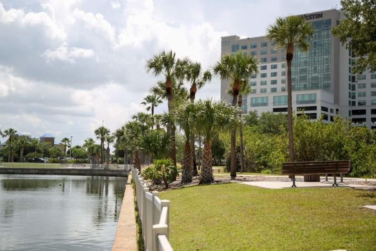 Prime Companies of Cohoes, New York, proposed filling part of this cove in the Rocky Point area of Tampa. (Credit: Allessandra Da Pra /Tampa Bay Times)