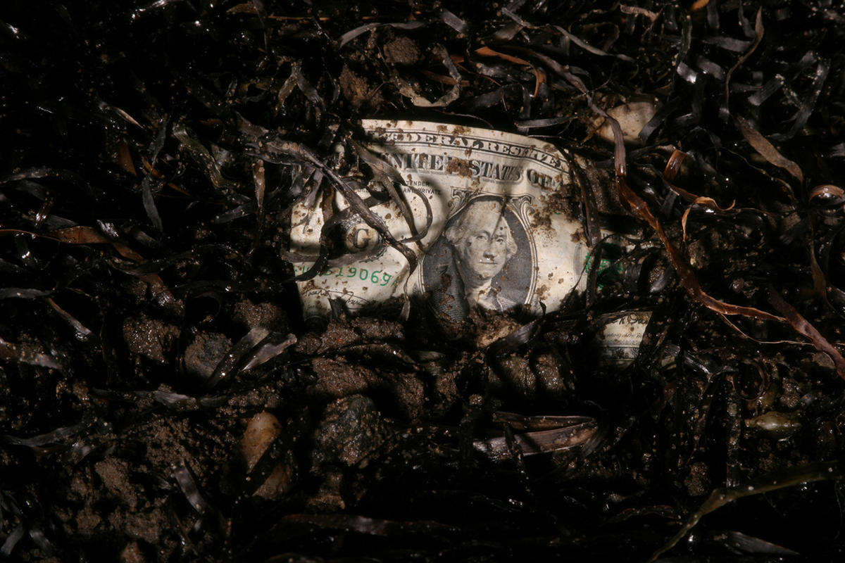 A dollar bill buried in dirt (Credit: iStock)
