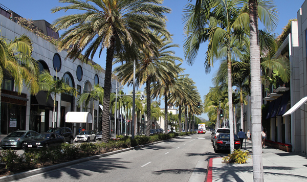 Based on rental value, Rodeo Drive is behind only Fifth Avenue in New York as the most expensive shopping district in the nation, according to Cushman &amp; Wakefield.