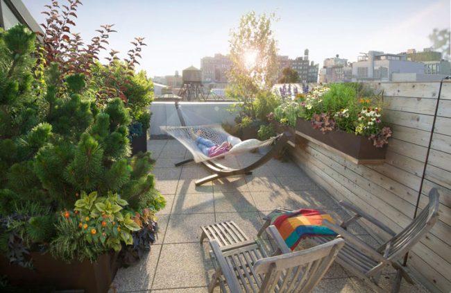 Landscape designer Todd Haiman created a 1,100-square-foot oasis on a private terrace in Noho.