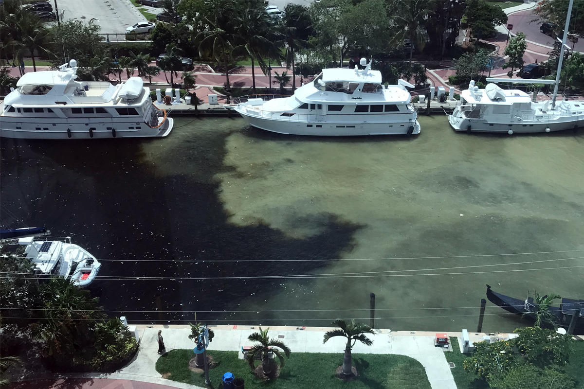 View of murky water from a condo at Las Olas River House (Credit: Bobbi Ocean)