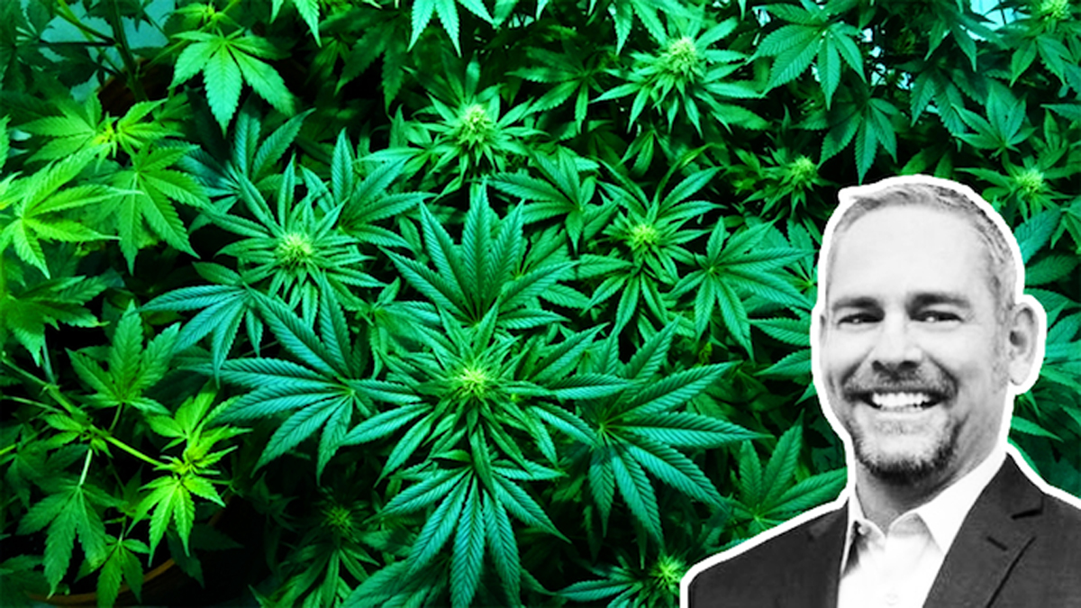 Pelorus Equity Group CEO Dan Leimel and cannabis plants