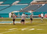 Miami Dolphins Installs GrassTex Border with Duffy & Lee