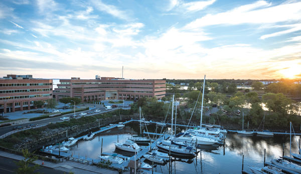 Workpoint’s Stamford location in Shippan Landing is home to 34 companies.