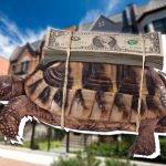 Spring homebuying season off to cool start in Chicago area: report
