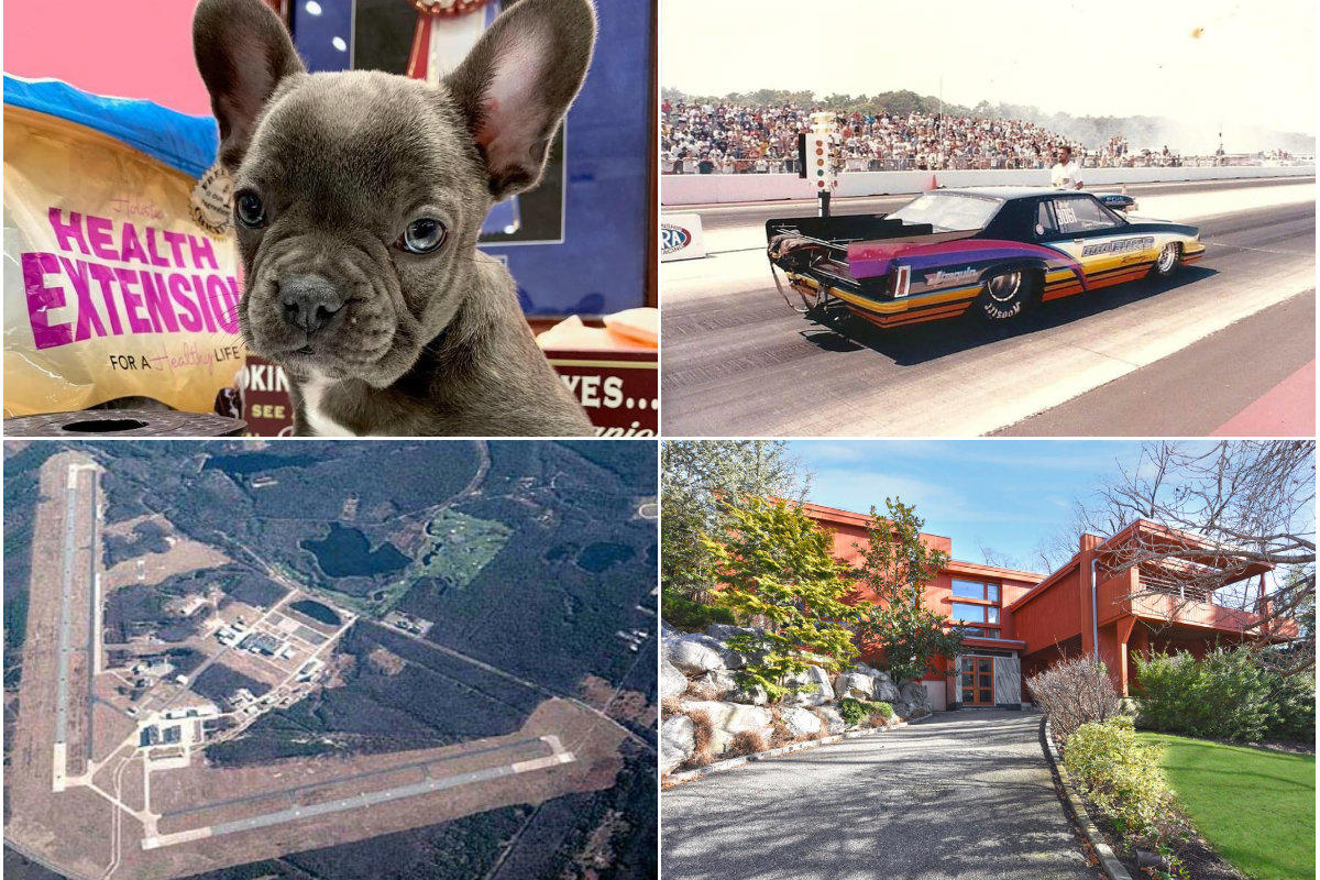<em>Clockwise from top left: An expanding dog food company buys space in Hauppauge for $7.35M, a nonprofit group seeks to build a drag race strip on Long Island, a mid-century 'Cliffhanger' house lists for nearly $2M in Port Washington and Riverhead could cancel the $40M sale of an industrial park amid a proposed buyer's financial troubles.</em>