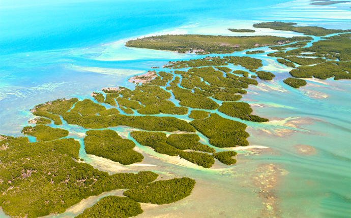 Florida Keys aerial (Credit: iStock)