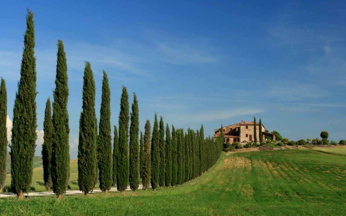 Tuscany, Italy (Credit: iStock)