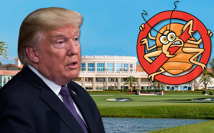Donald Trump, and Trump National Doral Miami golf resort (Credit: Getty Images and iStock)