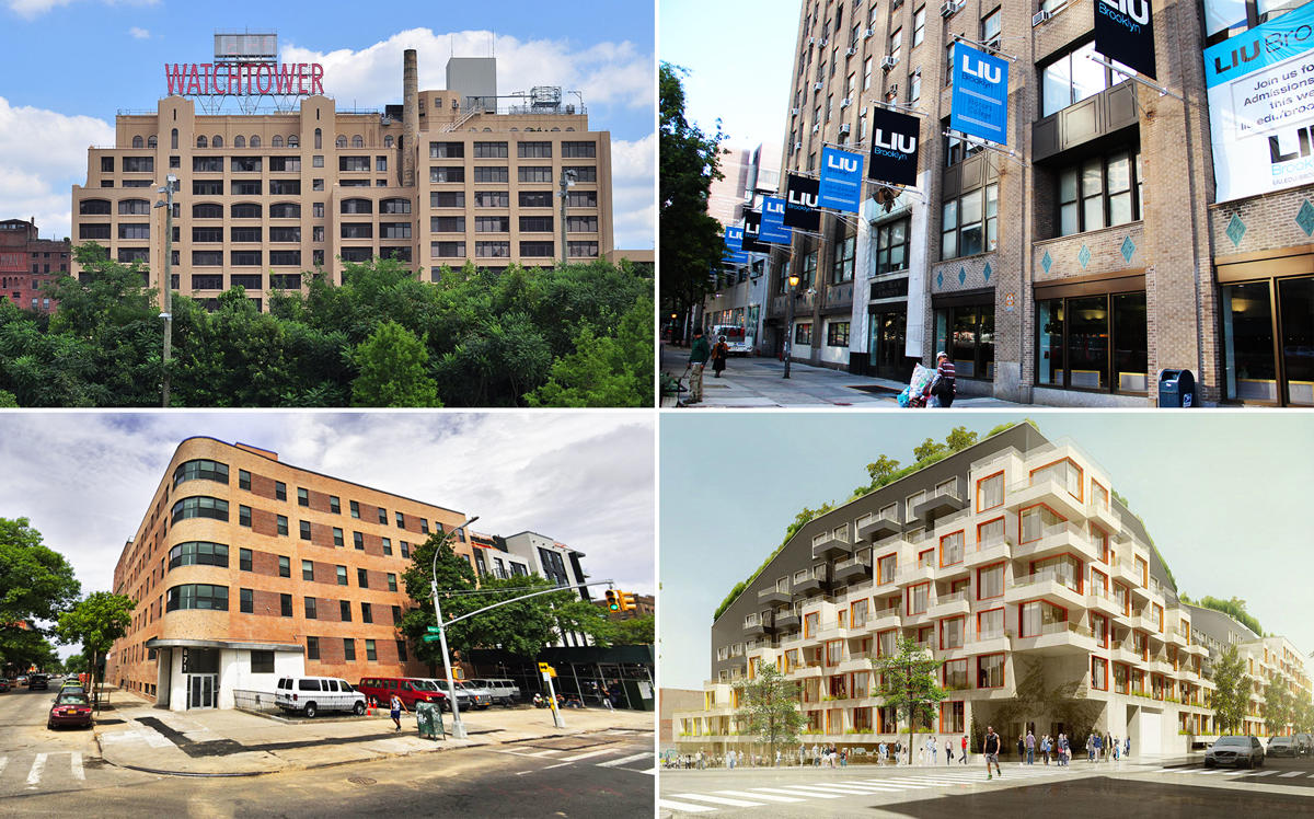 Clockwise from top left: The Watchtower building at 25 Columbia Heights, Long Island University at 1 University Plaza, The Rheingold at 10 Montieth Street and 871 Bushwick Avenue in Brooklyn (Credit: Wikipedia and Google Maps)