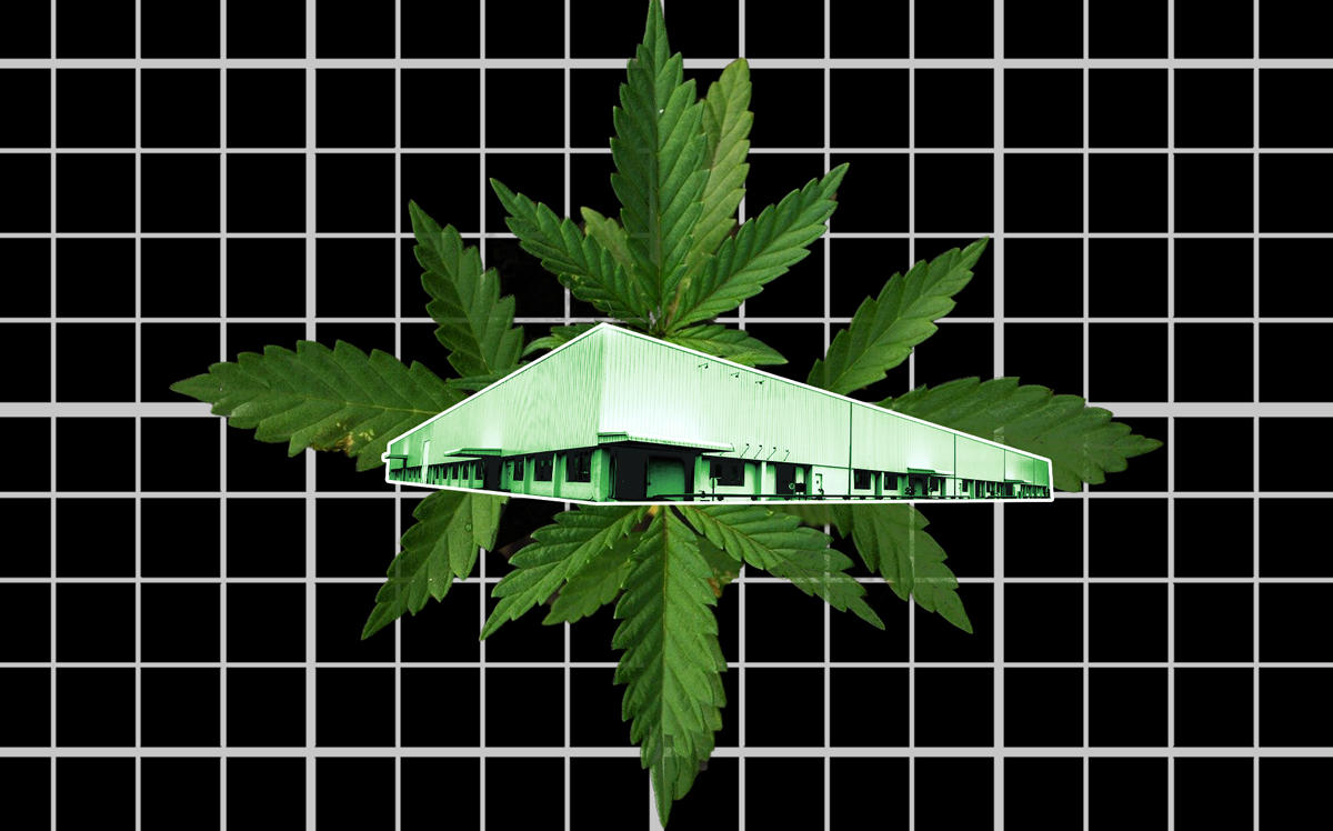 Real estate in states where cannabis use is legal is in high demand compared to states where use is illegal. (Credit: Pixabay)