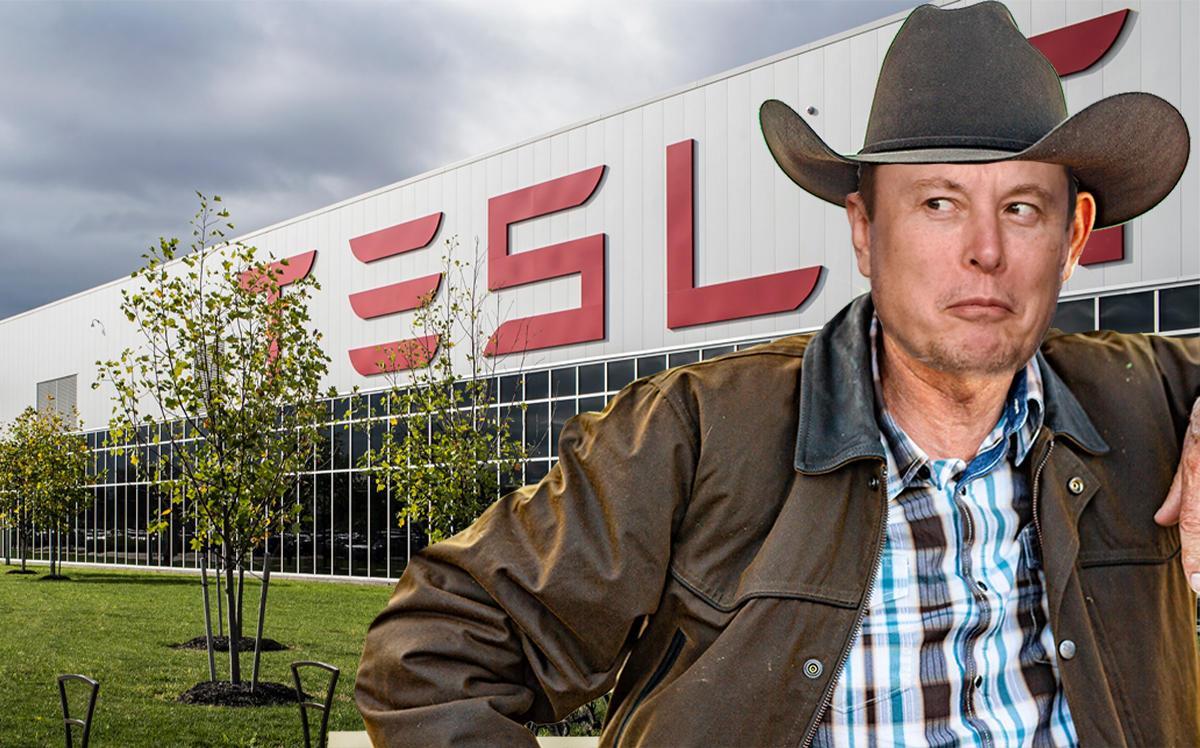 Elon Musk seems to want to build a Tesla factory in Texas (Credit: Getty Images, iStock)