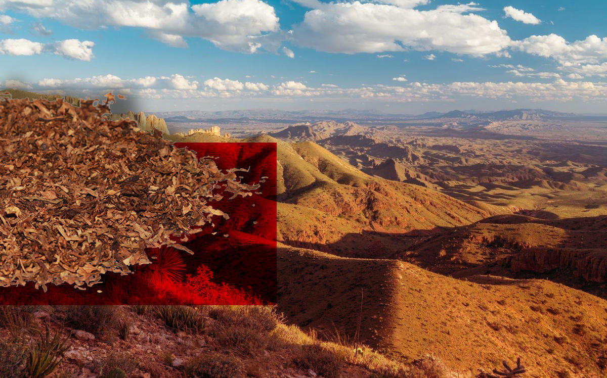 Eagle Mountain and Carrizo Mountain ranches (Credit: King Land and Water; iStock)