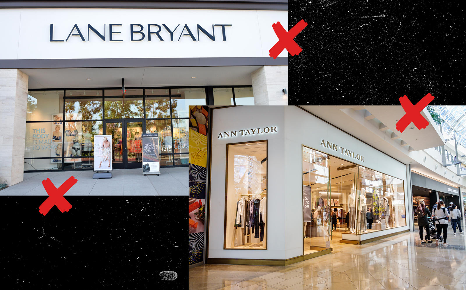 Lane Bryant and Ann Taylor stores (Getty)