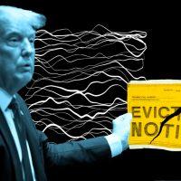 Trump says he is “going to stop” evictions
