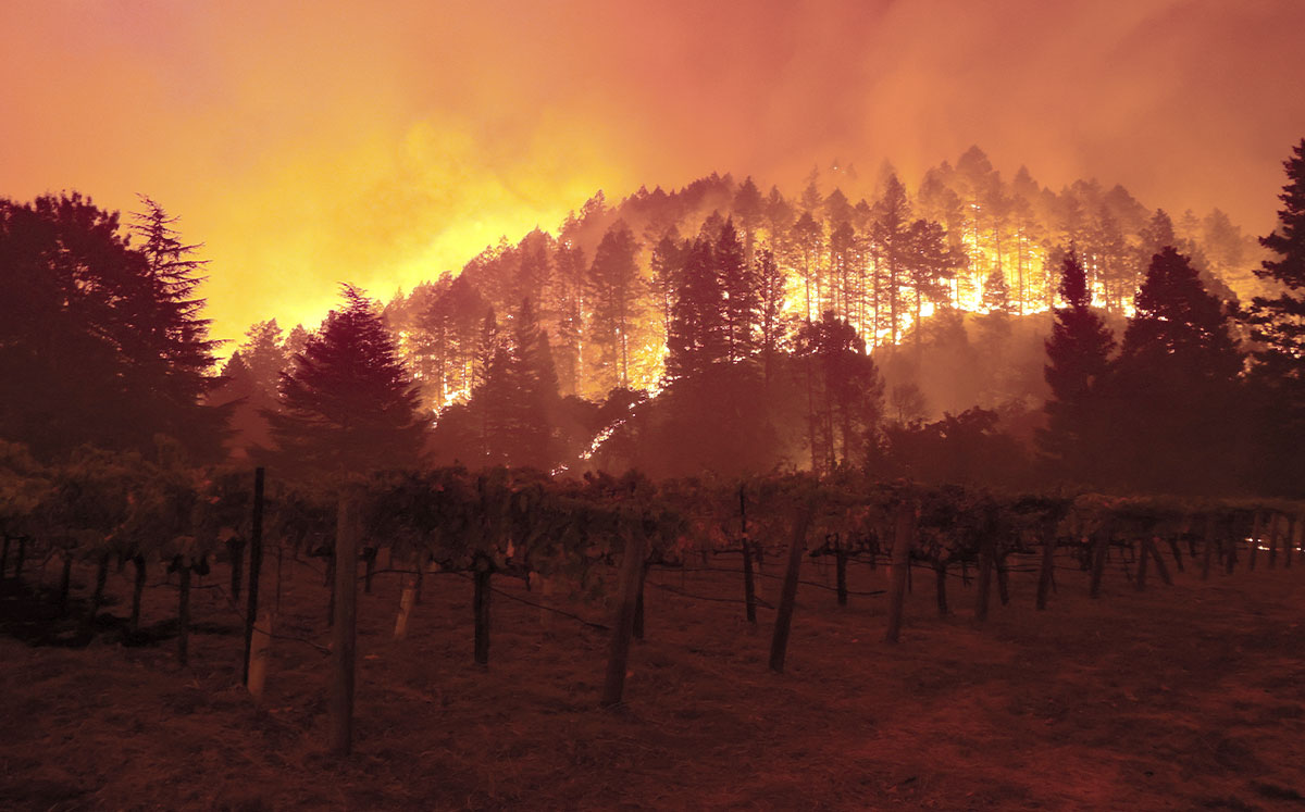 California wildfires (Credit: Justin Sullivan/Getty Images)