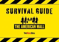 The American mall: A survival guide