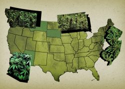 Seeing green: Land rush is on in latest states to legalize cannabis