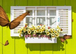 Homebuyers get ready to “spring” into action
