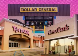 Discount chains thrive amid retail meltdown
