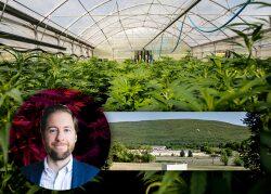 Cannabis firm Cresco Labs planning 360K sf facility in Ulster County