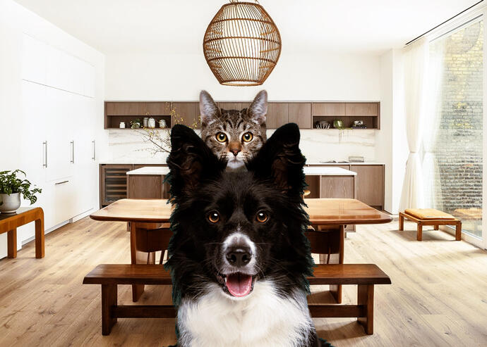 5 perfect new development homes for you and your dog (or cat)