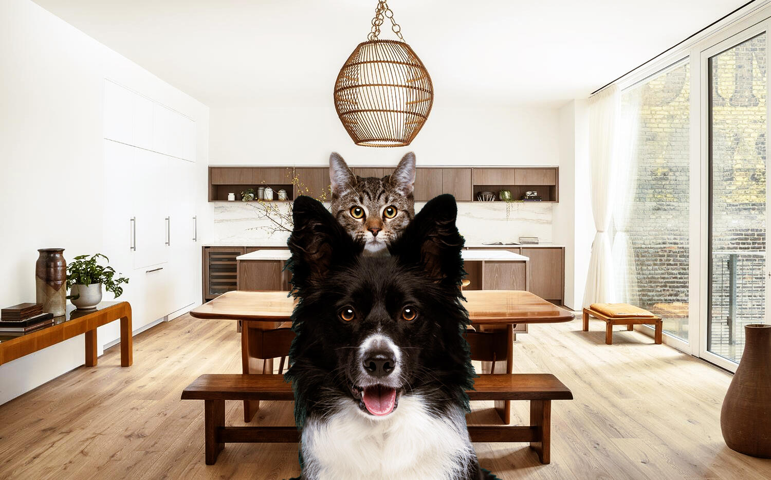 5 perfect new development homes for you and your dog (or cat)